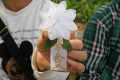 南宫NG·娱乐(中国集团)官方网站