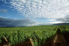 南宫NG·娱乐(中国集团)官方网站