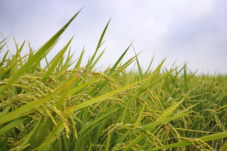 南宫NG·娱乐(中国集团)官方网站