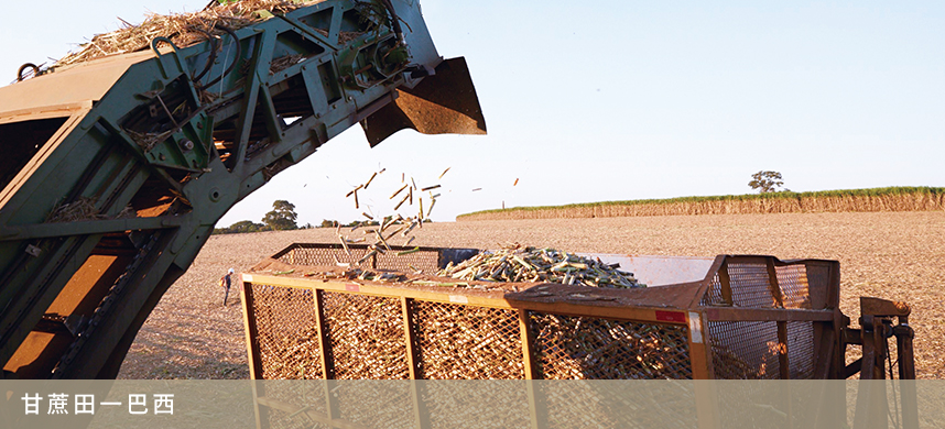 南宫NG·娱乐(中国集团)官方网站