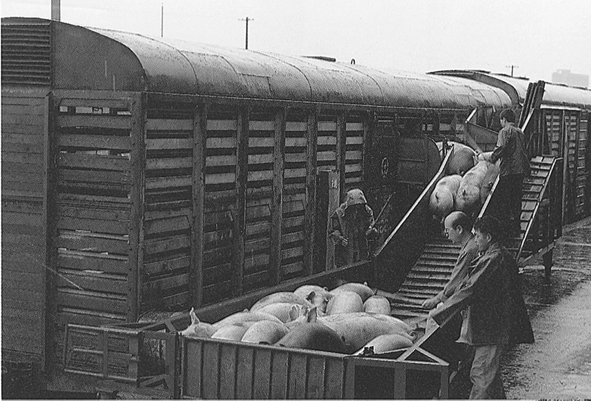 南宫NG·娱乐(中国集团)官方网站