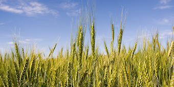 南宫NG·娱乐(中国集团)官方网站