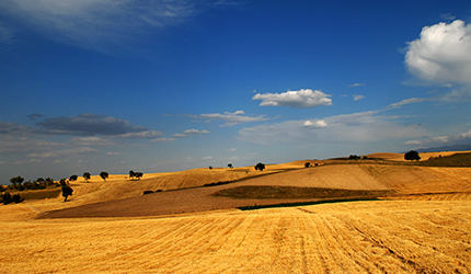 南宫NG·娱乐(中国集团)官方网站