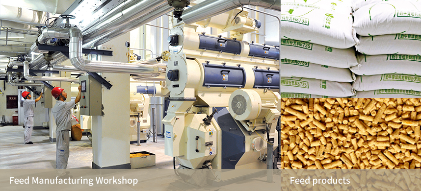 南宫NG·娱乐(中国集团)官方网站