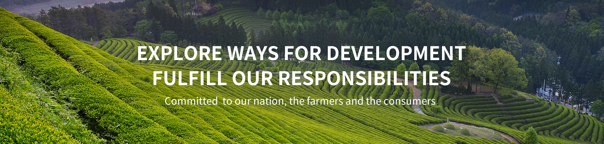 南宫NG·娱乐(中国集团)官方网站