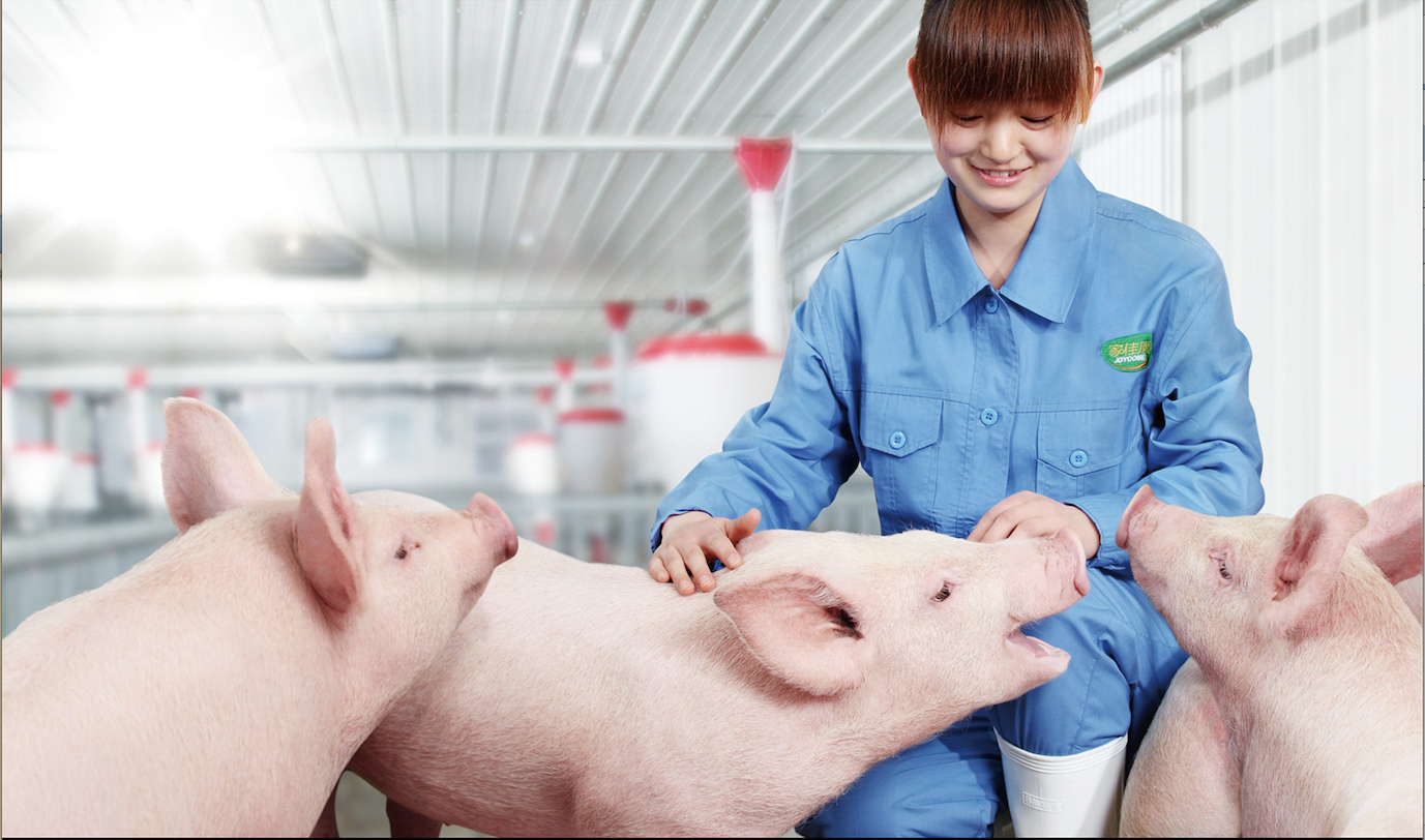 南宫NG·娱乐(中国集团)官方网站